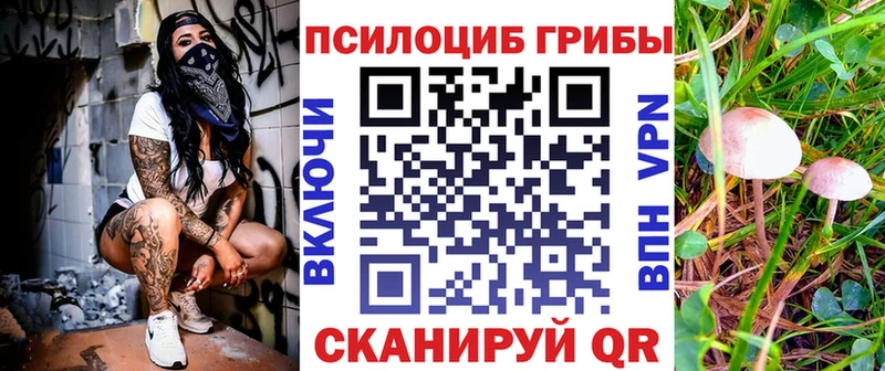 Псилоцибиновые грибы GOLDEN TEACHER  Переславль-Залесский 