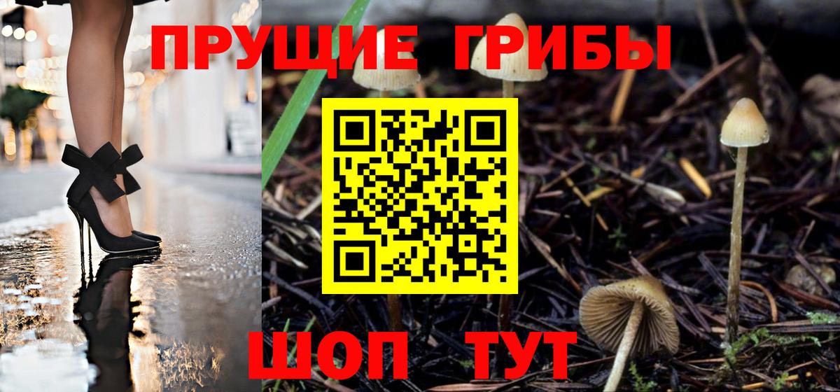 Переславль-Залесский  Псилоцибиновые грибы мицелий  Вход с VPN 