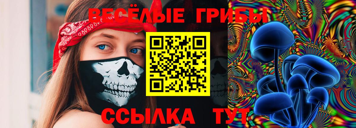 Псилоцибиновые грибы GOLDEN TEACHER Переславль-Залесский